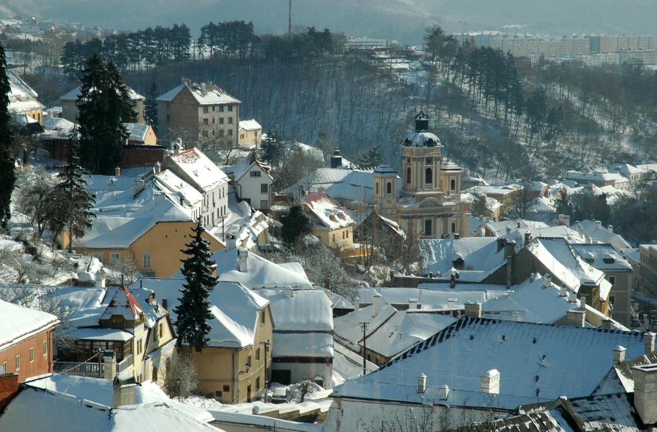 Vila Stiavnica Banska Stiavnica Exterior photo